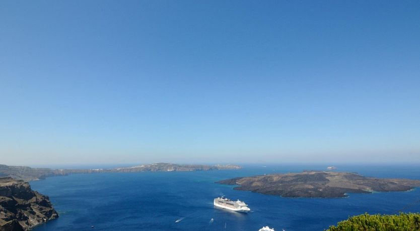 Photo of Head of the Household