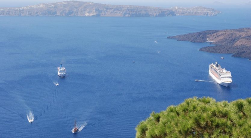 Photo of Head of the Household