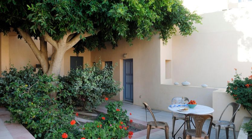 Photo of Head of the Household