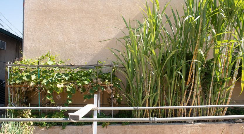 Photo of Glass & Gold