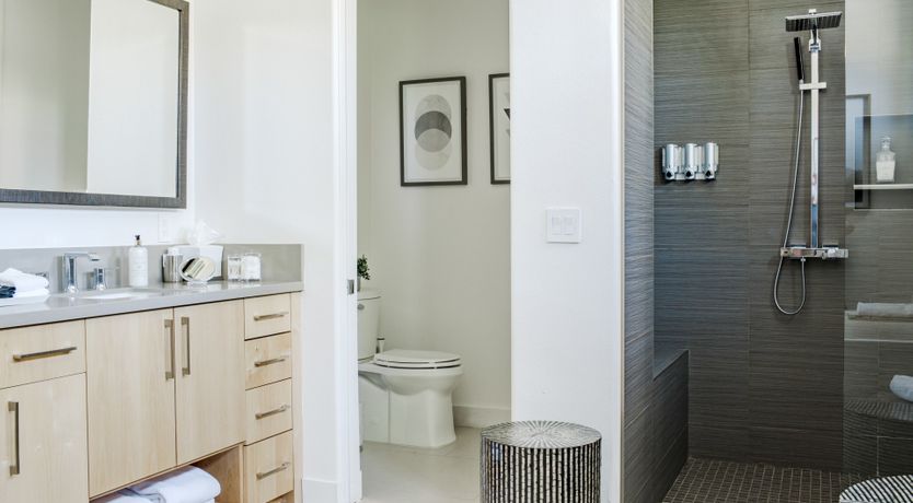 Photo of Palms & Splendor