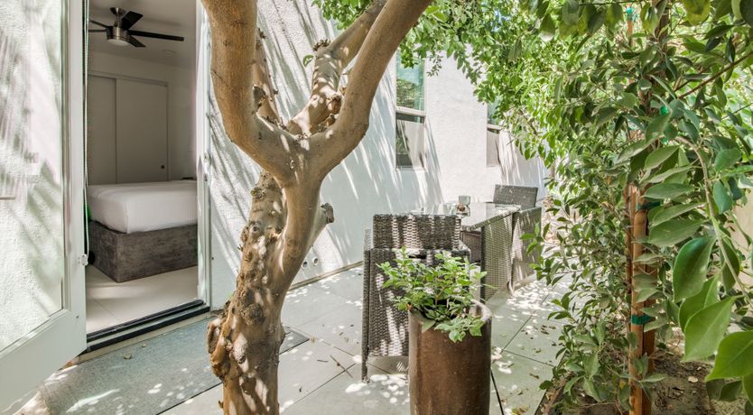 Photo of Palms & Splendor