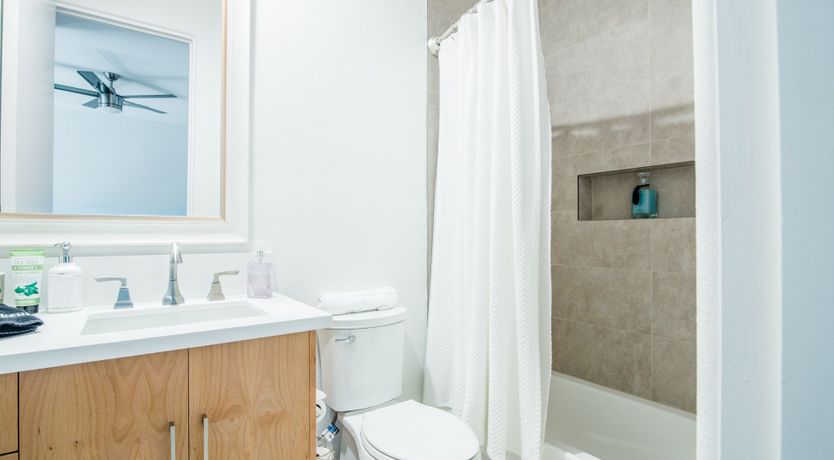 Photo of Palms & Splendor