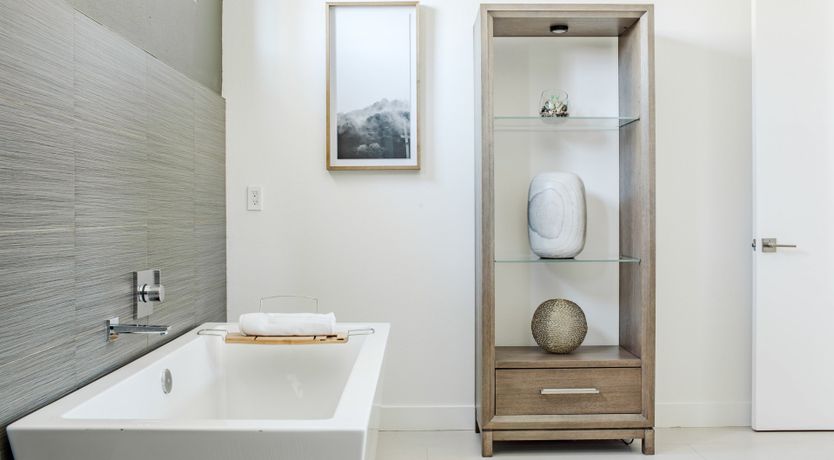 Photo of Palms & Splendor