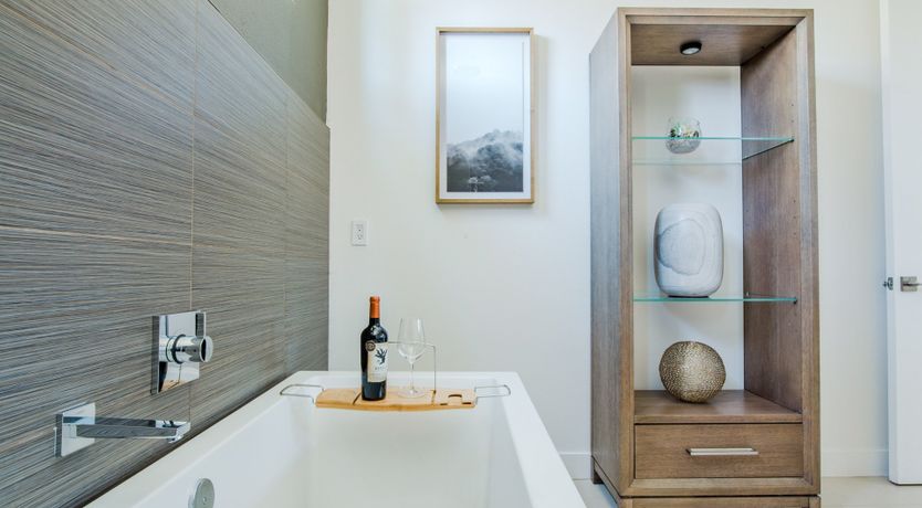 Photo of Palms & Splendor