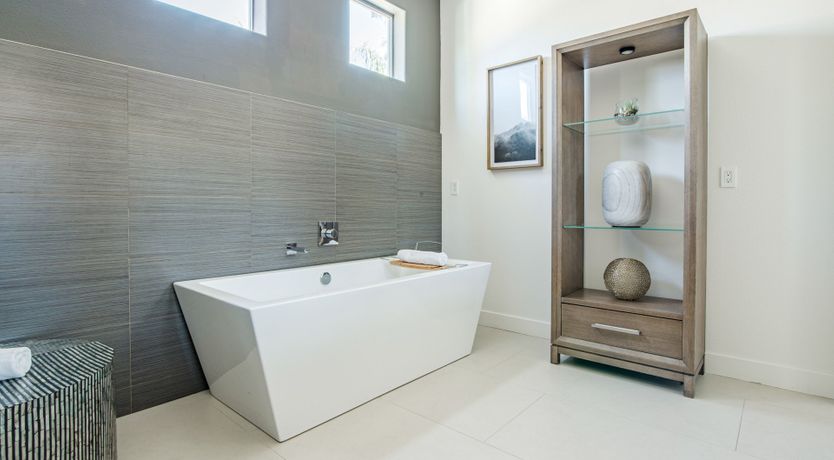 Photo of Palms & Splendor