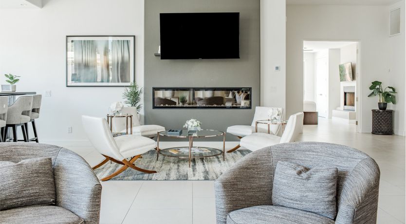 Photo of Palms & Splendor