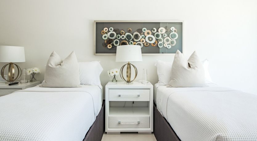 Photo of Palms & Splendor