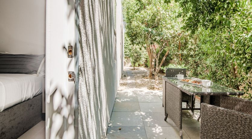 Photo of Palms & Splendor