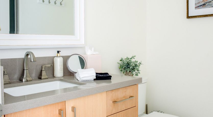 Photo of Palms & Splendor