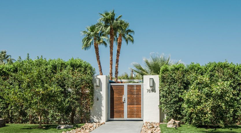 Photo of Palms & Splendor