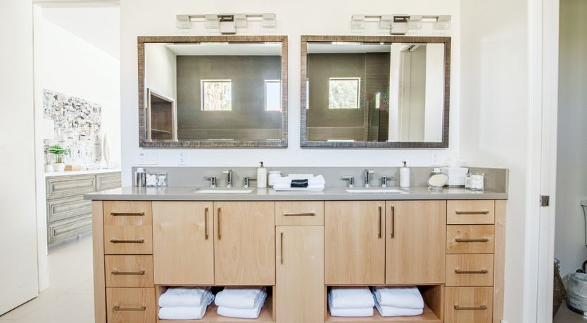 Photo of Palms & Splendor