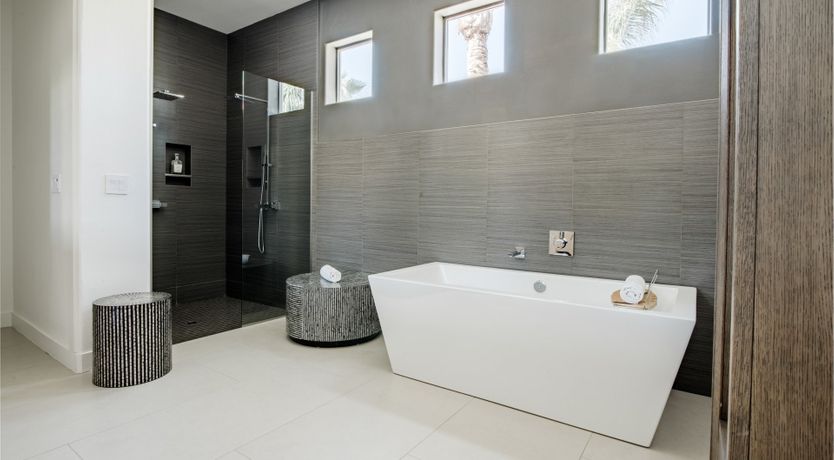 Photo of Palms & Splendor