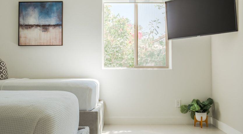 Photo of Palms & Splendor