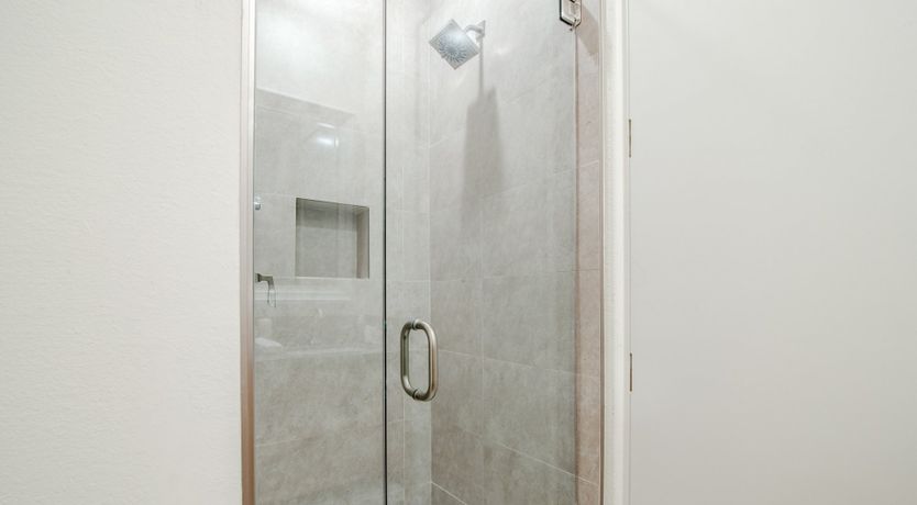 Photo of Palms & Splendor