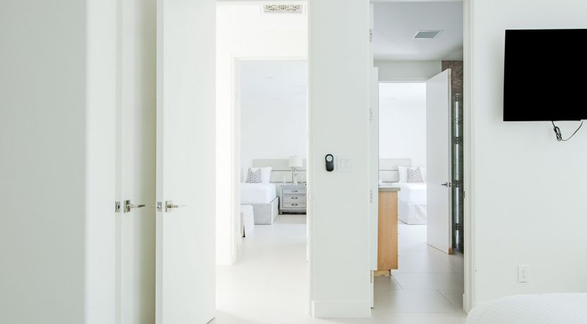 Photo of Palms & Splendor