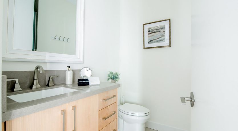 Photo of Palms & Splendor