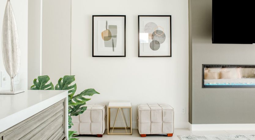 Photo of Palms & Splendor