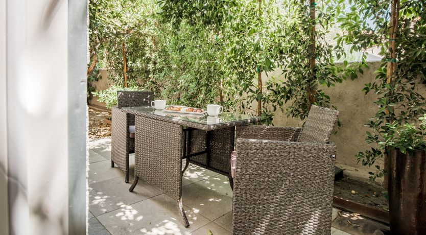 Photo of Palms & Splendor