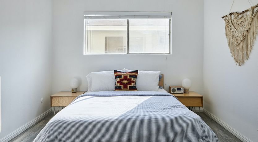 Photo of Scandi Colocasia