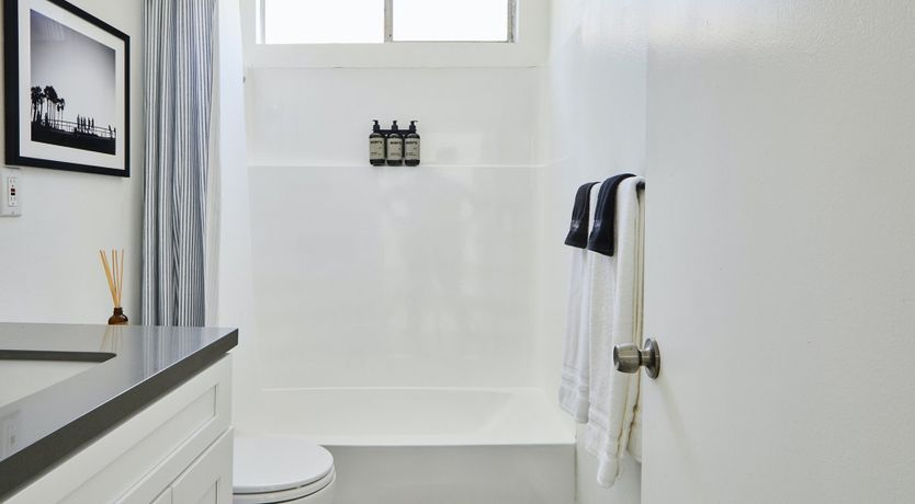 Photo of Scandi Colocasia