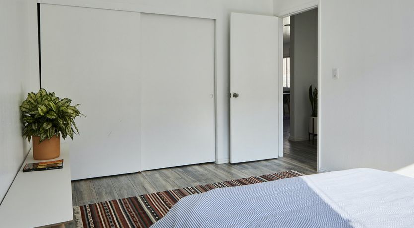 Photo of Scandi Colocasia