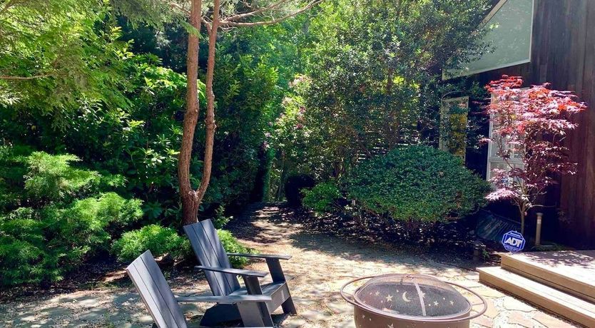 Photo of Technicolour Dreamland