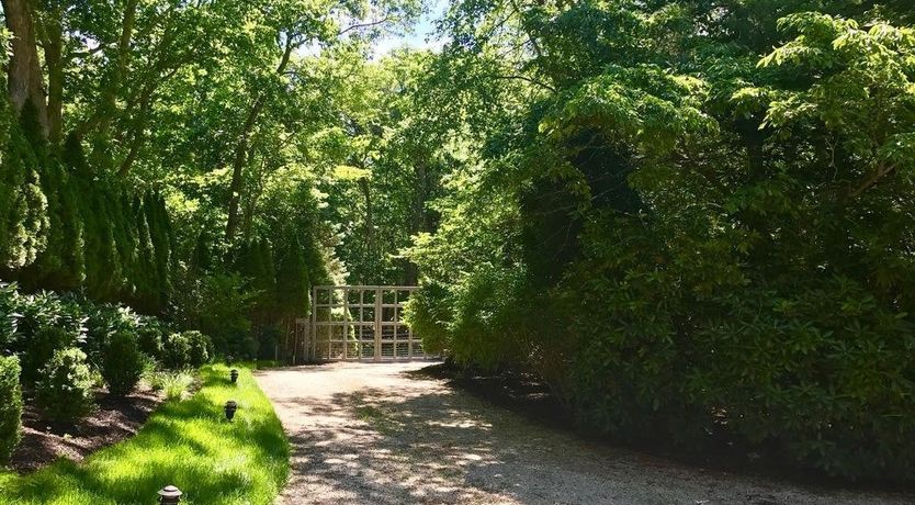 Photo of Technicolour Dreamland