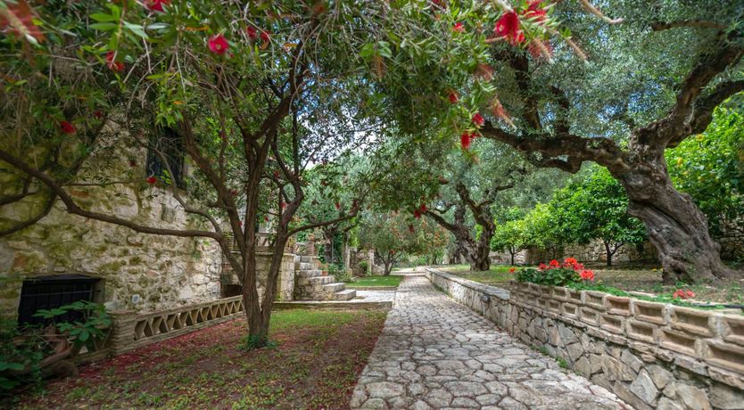 Photo of Good Lookin'