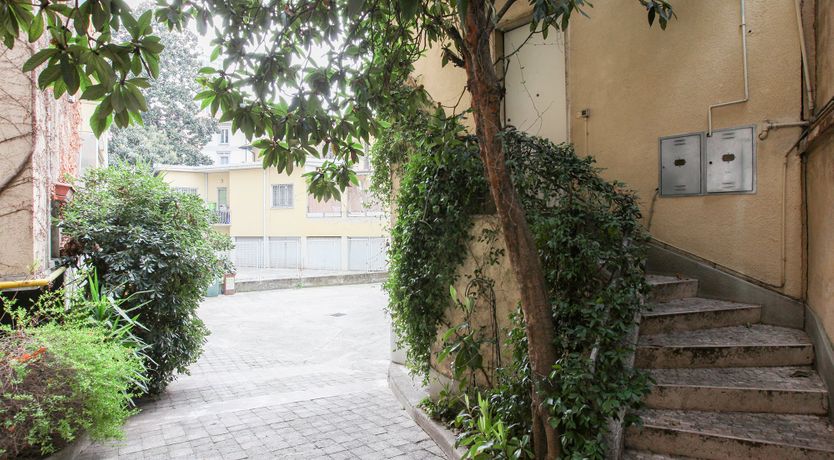 Photo of Orange Peel Garnish