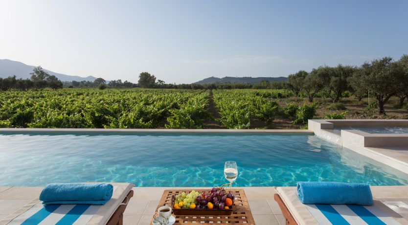 Photo of Poet's Vineyard