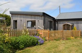 Photo of wing-in-dorset
