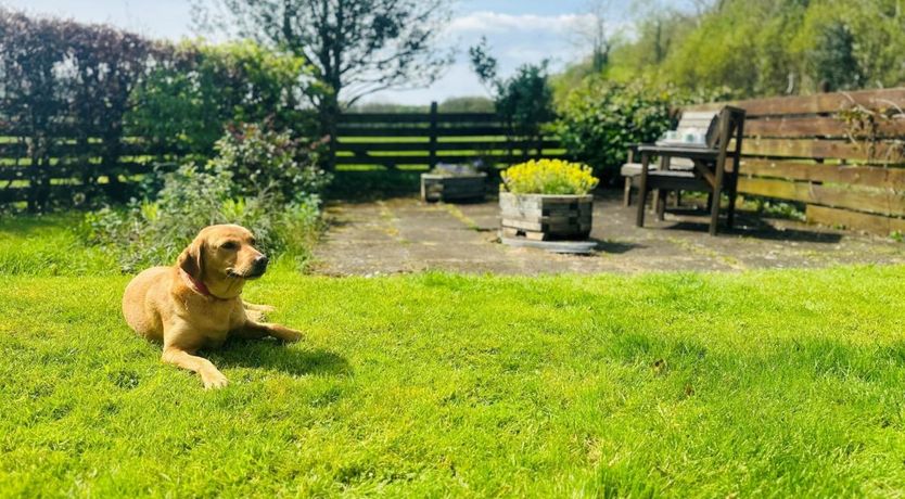 Photo of 1 Bed in Eskdale