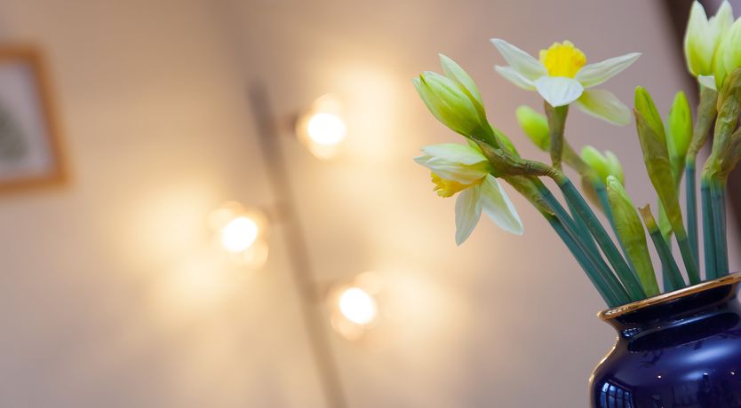 Photo of Furness@The West Dry