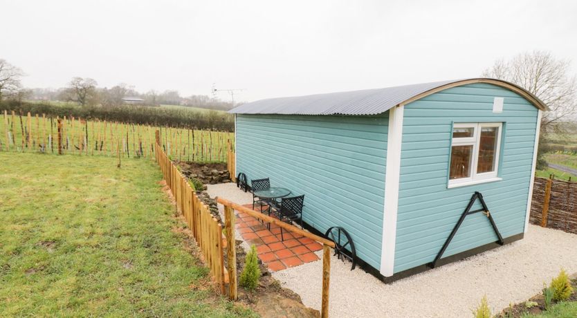 Photo of Robins Nest