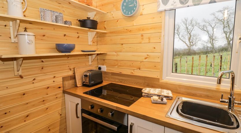 Photo of Robins Nest