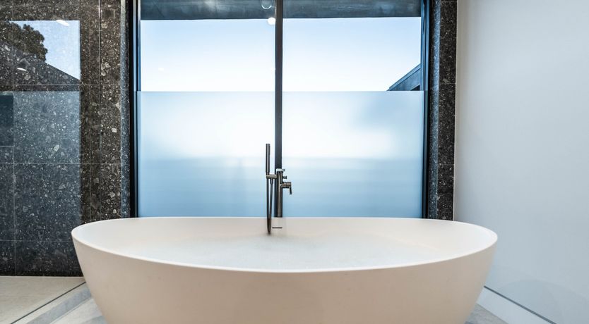 Photo of Down to the Red Oak Tree