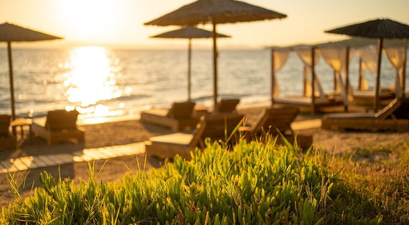 Photo of Into the Silver Dawn