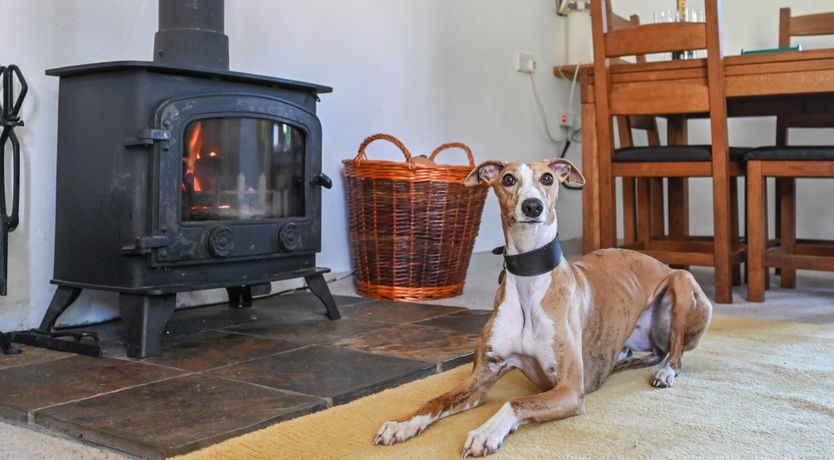 Photo of Skylark Cottage