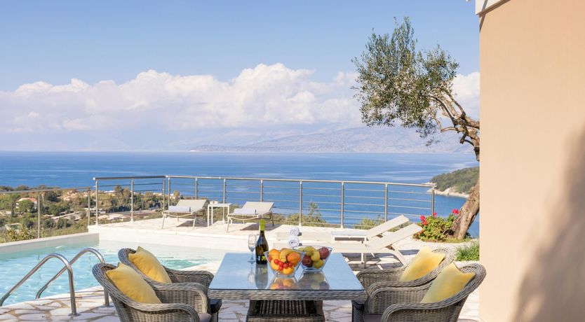 Photo of Under The Olive Branch