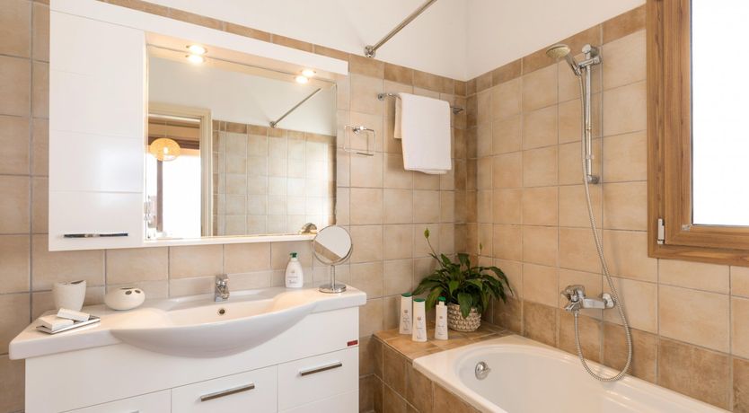 Photo of Under The Olive Branch