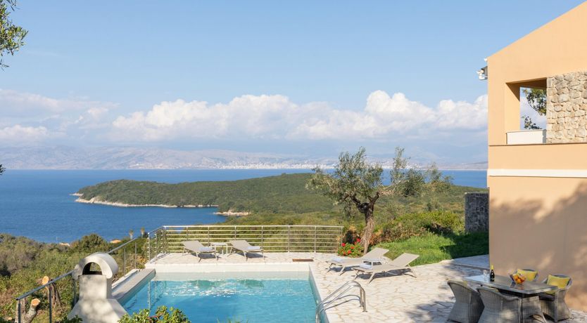 Photo of Under The Olive Branch