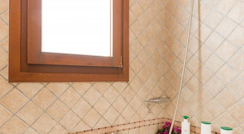 Photo of Follow the Fish