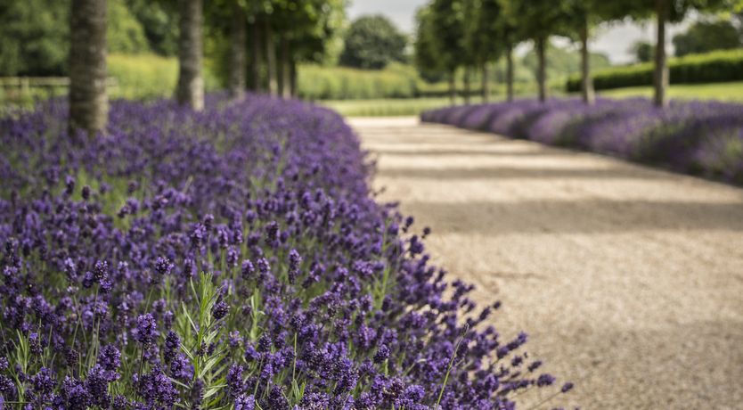 Photo of The Saddler's Rooms