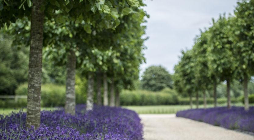 Photo of The Saddler's Rooms