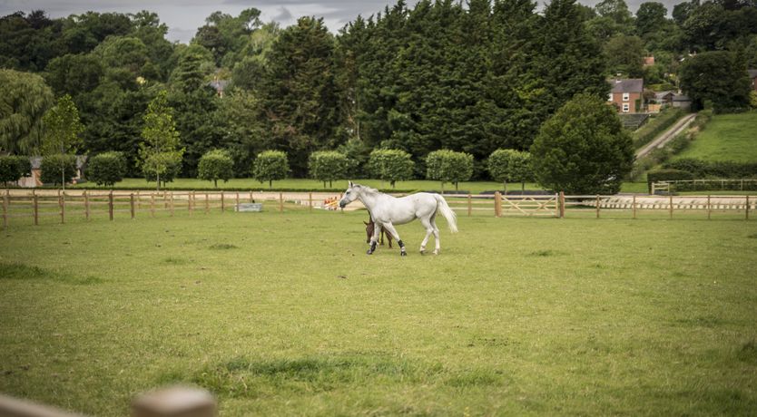 Photo of The Saddler's Rooms