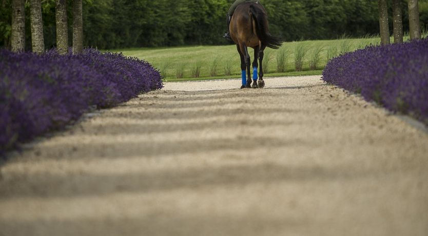 Photo of The Saddler's Rooms