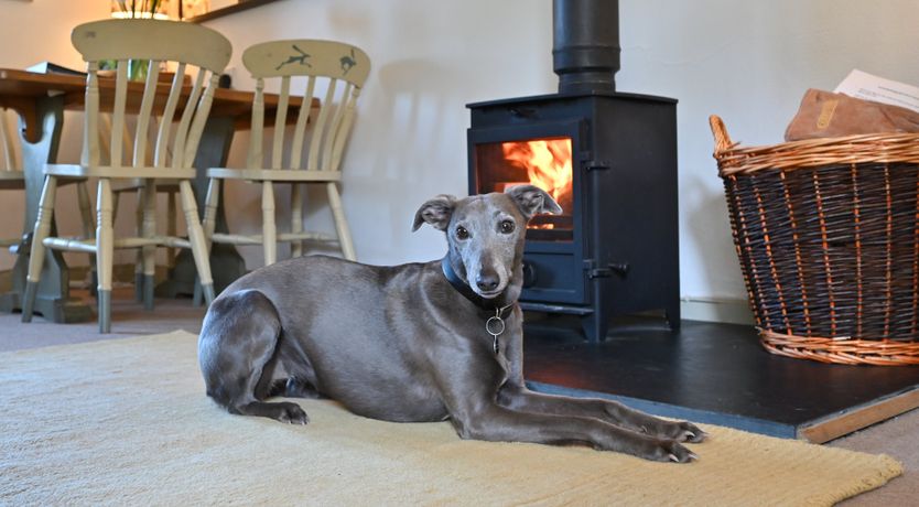 Photo of Nature Nook