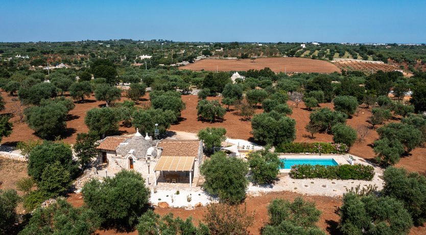 Photo of Fiore di Ciliegio