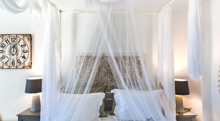 Photo of Hand of Hygieia